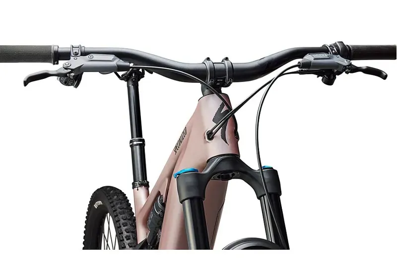 Specialized Turbo Levo 4 Comp Carbon - Champagne / Metallic Obsidian-5