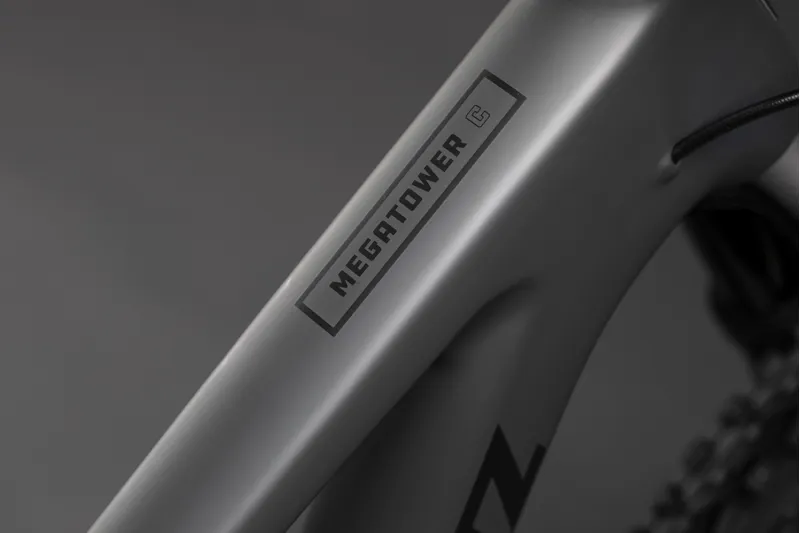 2019 Santa Cruz Megatower X01 Build-4