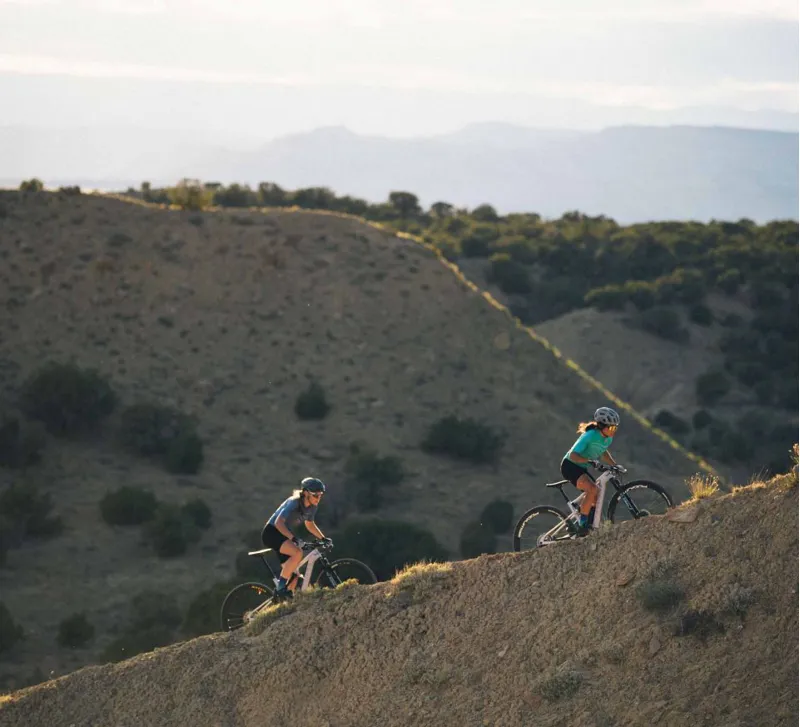 Juliana Wilder TR Carbon CC X01 AXS Build w/ Reserve Wheels - Purple-2