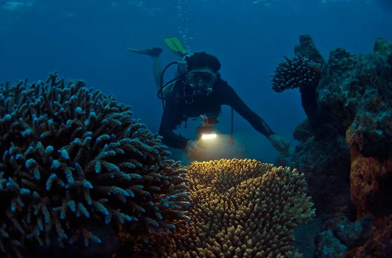 SP Gadgets POV Light Fits various GoPro's-3