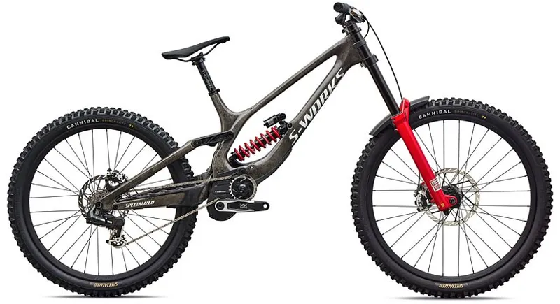 Specialized S-Works Demo 11 Downhill Mountain Bike in Gloss Charcoal / Dolomite Metallic / White