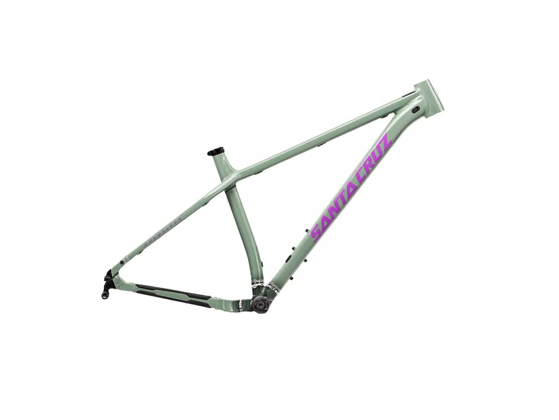 santa cruz chameleon price